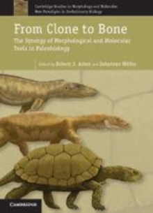Image for From clone to bone: the synergy of morphological and molecular tools in palaeobiology