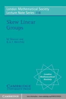Image for Skew Linear Groups