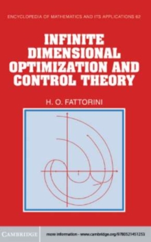 Image for Infinite Dimensional Optimization and Control Theory