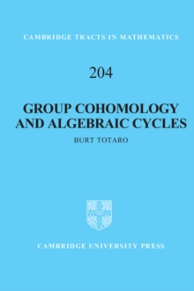 Image for Group Cohomology and Algebraic Cycles