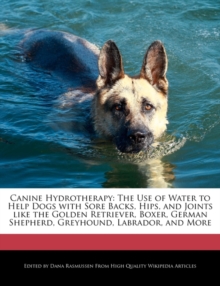 Image for Canine Hydrotherapy