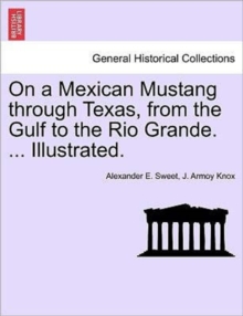 Image for On a Mexican Mustang through Texas, from the Gulf to the Rio Grande. ... Illustrated.