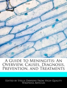 Image for A Guide to Meningitis : An Overview, Causes, Diagnosis, Prevention, and Treatments