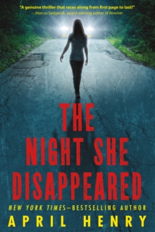 Image for The Night She Disappeared