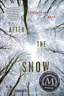Image for After the Snow