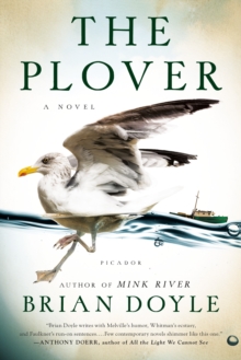 Image for The plover  : a novel