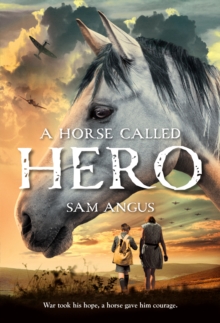 Image for A Horse Called Hero