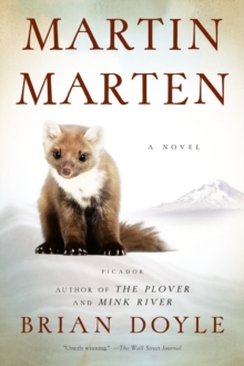 Image for Martin Marten : A Novel