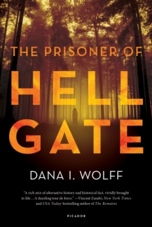 Image for The prisoner of Hell Gate  : a novel