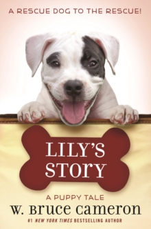 Image for Lily's Story: A Puppy Tale