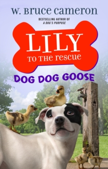 Image for Lily to the Rescue: Dog Dog Goose