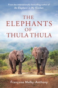 Image for The Elephants of Thula Thula