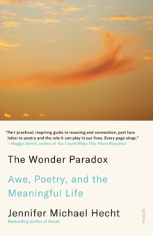 Image for The wonder paradox  : awe, poetry, and the meaningful life