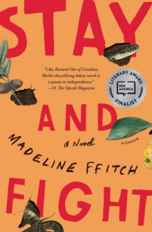 Image for Stay and Fight