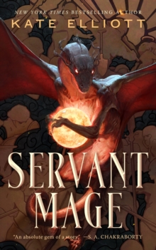 Image for Servant Mage