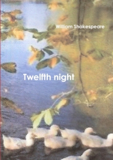 Image for Twelfth Night