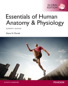 Image for Essentials of human anatomy & physiology