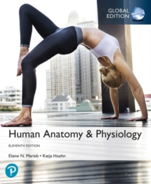 Image for Human anatomy & physiology