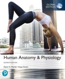 Image for Human Anatomy & Physiology, Global Edition + Mastering A&P with Pearson eText