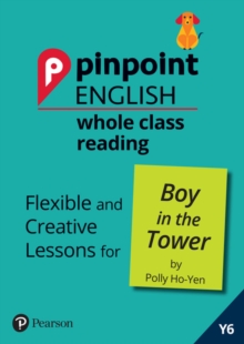 Image for Pinpoint English Whole Class Reading Y6: Boy in the Tower