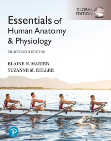 Image for Essentials of Human Anatomy & Physiology, Global Edition + Mastering A&P with Pearson eText