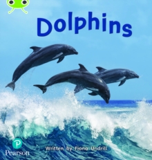Image for Bug Club Phonics - Phase 5 Unit 13: Dolphins