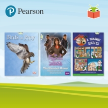Image for Bug Club KS1 Bridging Bands Pro Independent Pack of 30 reading books (Autumn 2021)