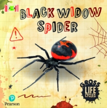 Image for Bug Club Reading Corner: Age 5-7: Gross Lifecycles: Black Widow Spider
