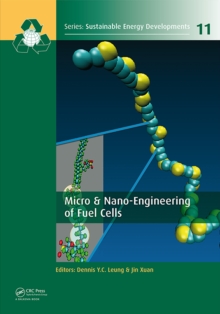 Image for Micro & nano-engineering of fuel cells