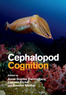 Image for Cephalopod Cognition