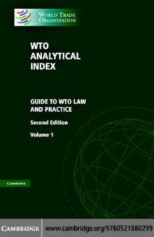 Image for WTO analytical index