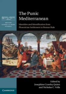 Image for The Punic Mediterranean: identities and identification from Phoenician settlement to Roman rule
