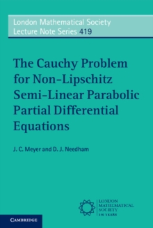 Image for The Cauchy Problem for Non-Lipschitz Semi-Linear Parabolic Partial Differential Equations