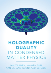 Image for Holographic Duality in Condensed Matter Physics
