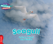 Image for Seagull