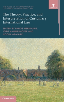 Image for The theory, practice and interpretation of customary international law