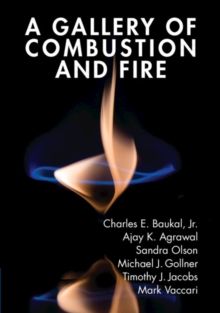 Image for A Gallery of Combustion and Fire