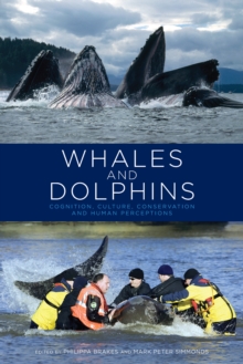 Image for Whales and dolphins: cognition, culture, conservation and human perceptions