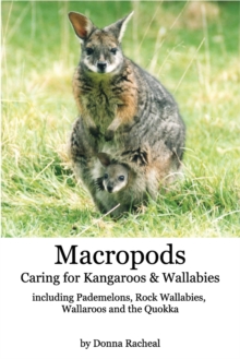Image for Macropods - Caring for Kangaroos and Wallabies : including Pademelons, Rock Wallabies, Wallaroos and the Quokka