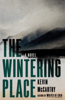 Image for The wintering place: a novel