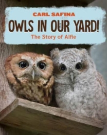 Image for Owls in our yard!  : the story of Alfie