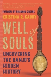 Image for Well of souls  : uncovering the banjo's hidden history