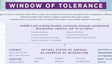 Image for Window of Tolerance Laminated Card