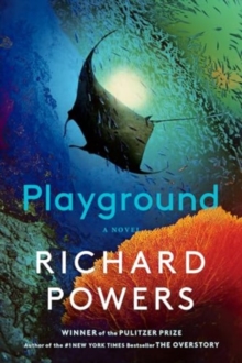 Image for Playground