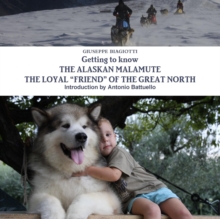 Image for Getting to Know the Alaskan Malamute the Loyal "Friend" of the Great North