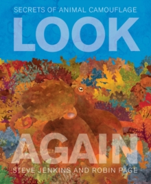 Image for Look Again: Secrets of Animal Camouflage