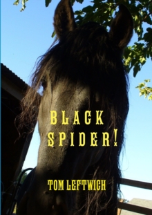Image for Black Spider !