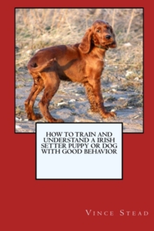 Image for How to Train and Raise a Irish Setter Puppy or Dog with Good Behavior