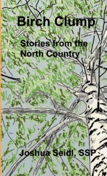 Image for Birch Clump: Stories from the North Country