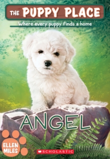 Image for Angel (The Puppy Place #46)